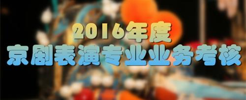 大鸡巴黑虎网站国家京剧院2016年度京剧表演专业业务考...